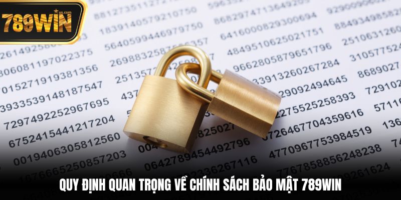 Chính Sách Bảo Mật Quyền Riêng Tư Người Dùng Tại 789win 2 Quy định quan trọng về chính sách bảo mật 789win